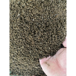  Phân dơi nguyên chất Lạng Sơn 5kg 