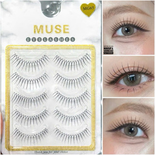 Lông mi giả, Mi gân trong [ MUSE MG65 ] 5 cặp kiểu dáng MG65 MUSE
