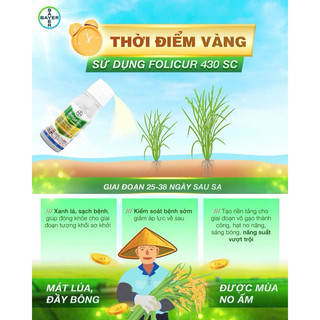 Phòng ngừa nấm bệnh Folicur 430SC DẠNG SỮA (CHAI 250ML) chính hãng bayer