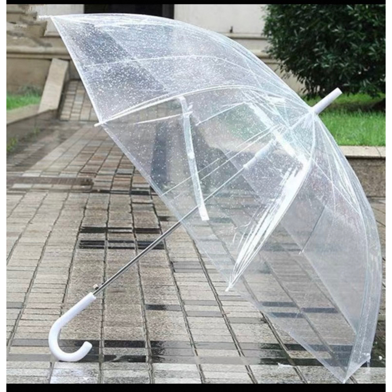 Ô trong suốt phong cách hàn quốc