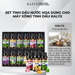 Tinh Dầu Nước Hoa Dùng Cho Máy Xông Tinh Dầu, Máy Khuếch Tán Tinh Dầu, Nước Hoa Ô tô, Xe Hơi Dung Tích 10ml