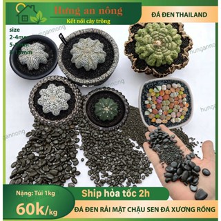 Túi 1kg - Đá đen Thailand chuyên rải mặt chậu sen đá xương rồng cây cảnh ( xem trong mô tả )
