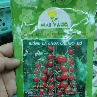 [Gói 0.5g] Hạt giống Cà Chua cherry đỏ