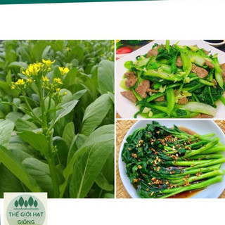 [Gói 20g] Hạt giống rau cải ngồng