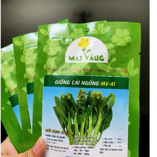 [Gói 20g] Hạt giống rau cải ngồng