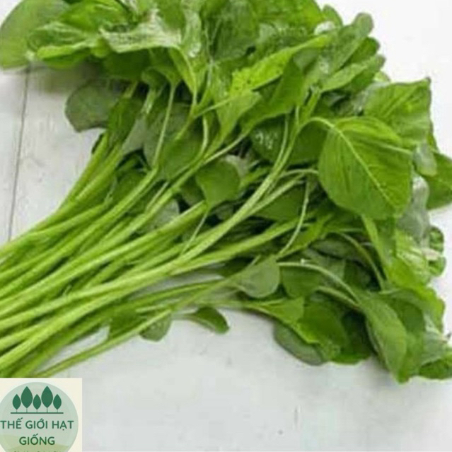 Hạt giống rau dền xanh