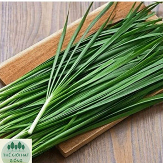 [gói 1g] Hạt giống hẹ lá