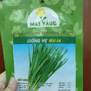 [gói 1g] Hạt giống hẹ lá