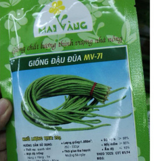 Hạt giống đậu đũa năng suất trồng quanh năm