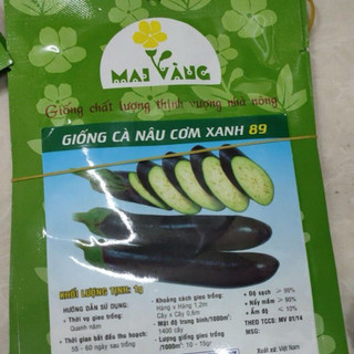 [Gói 1g] Hạt giống Cà tím cơm xanh (cà tím dài)