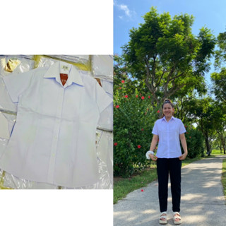 Áo Sơ Mi Trắng Xanh Chít Eo Form Dáng Ôm Từ 35kg-65Kg Dành Cho Học Sinh , Vải Kate mịn Dày Dặn