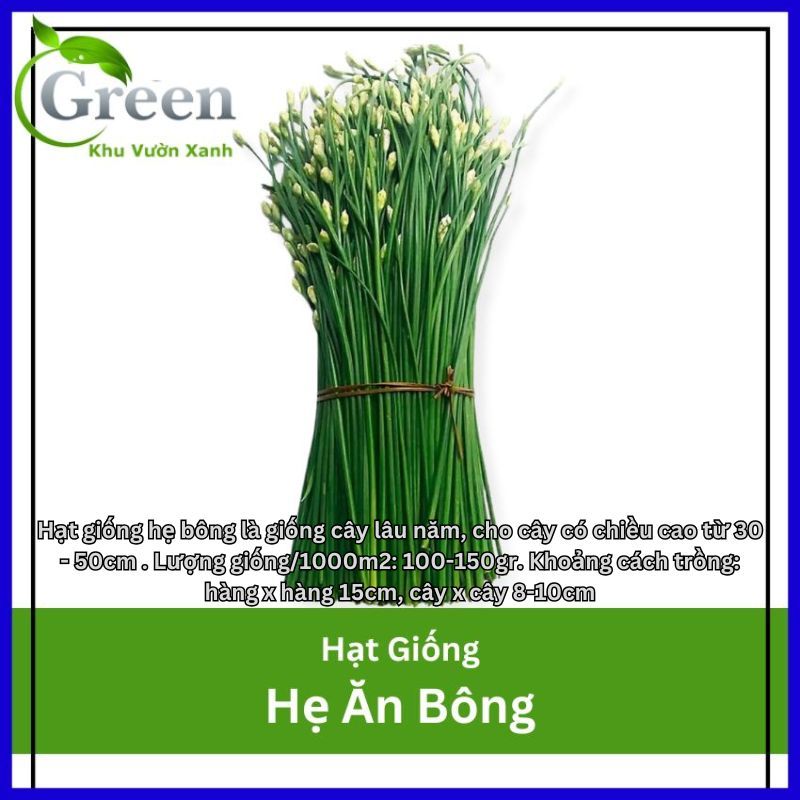 Hạt Giống Hẹ Ăn Bông Dễ Nảy Mầm, Thu Hoạch Liên Tục Kéo Dài