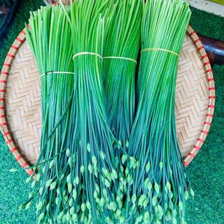 Hạt Giống Hẹ Ăn Bông Dễ Nảy Mầm, Thu Hoạch Liên Tục Kéo Dài