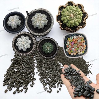 Túi 1kg - Đá đen Thailand chuyên rải mặt chậu sen đá xương rồng cây cảnh ( xem trong mô tả )