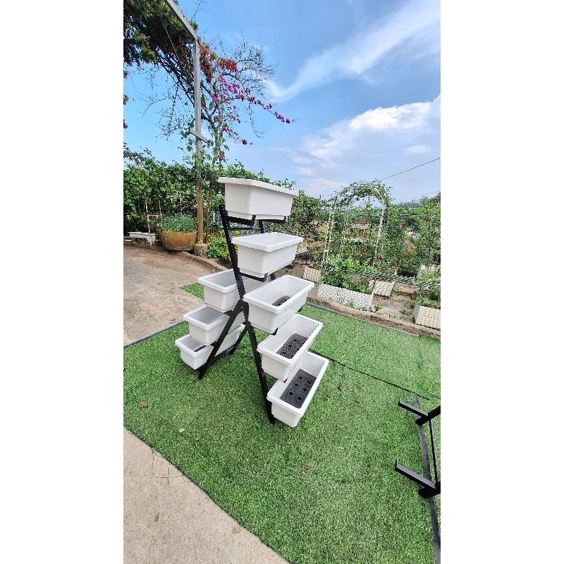 Combo Kệ và 8 chậu trồng rau,  Chậu D48 R20 C16, trồng hoa, để chậu