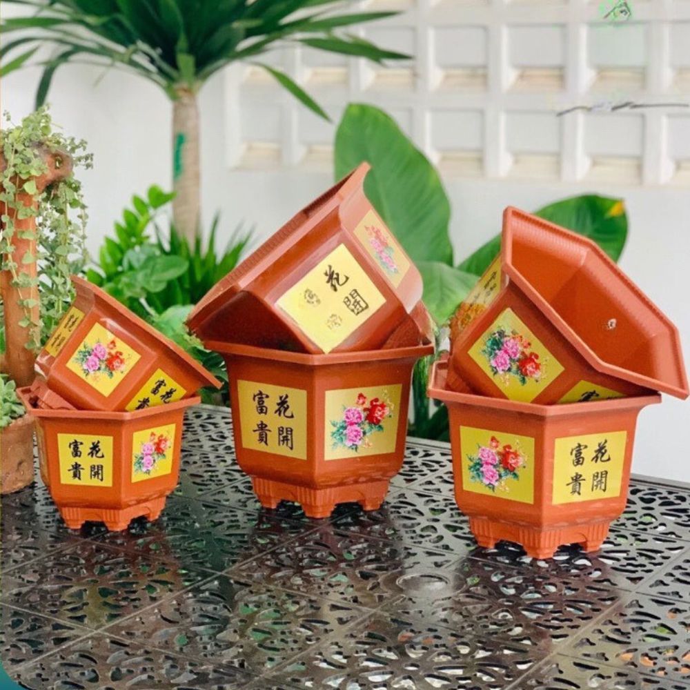 Chậu nhựa trồng cây,chậu lục giác giả gốm đẹp,chậu trồng địa lan,lan kiếm,lan hồ điệp,chậu trồng cây