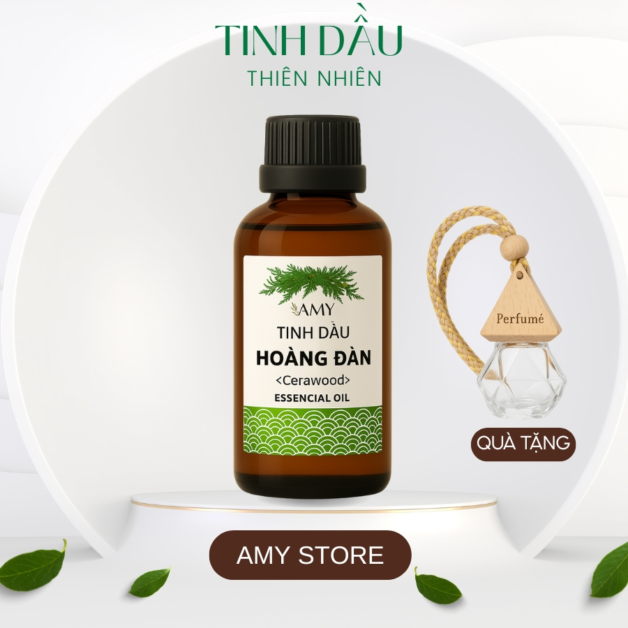 Tinh dầu hoàng đàn tuyết tùng nguyên chất