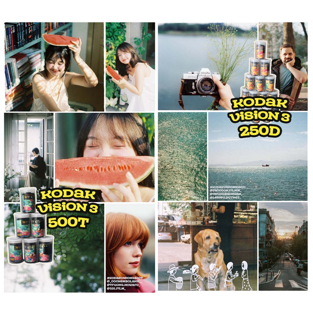 [HỎA TỐC HCM] Film ĐIỆN ẢNH CINE Kodak Vision 3 50D 200T 250D 500T 100D 320T 400D 800T Indate 2027 F