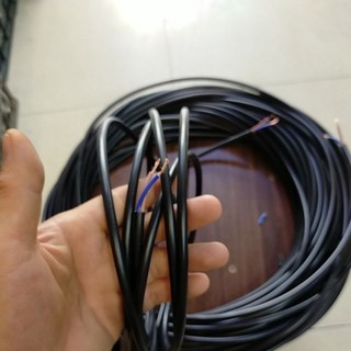 Combo 3 mét/ 5 mét Dây Điện lõi Đồng Dùng Cho Đèn Thả Trang Trí - Màu Đèn / Trắng | Đèn Toàn Lợi