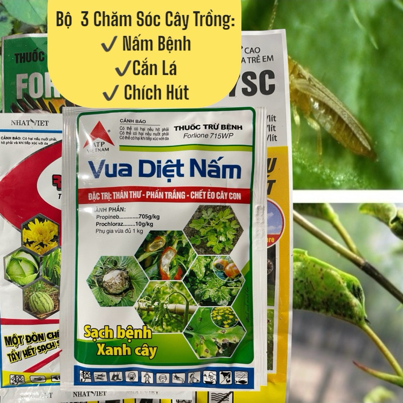 Trừ nấm bệnh, diệt ăn lá, bọ, rệp chích hút | Bảo vệ cây trồng toàn diện | vua diệt nấm 20g + rolam1