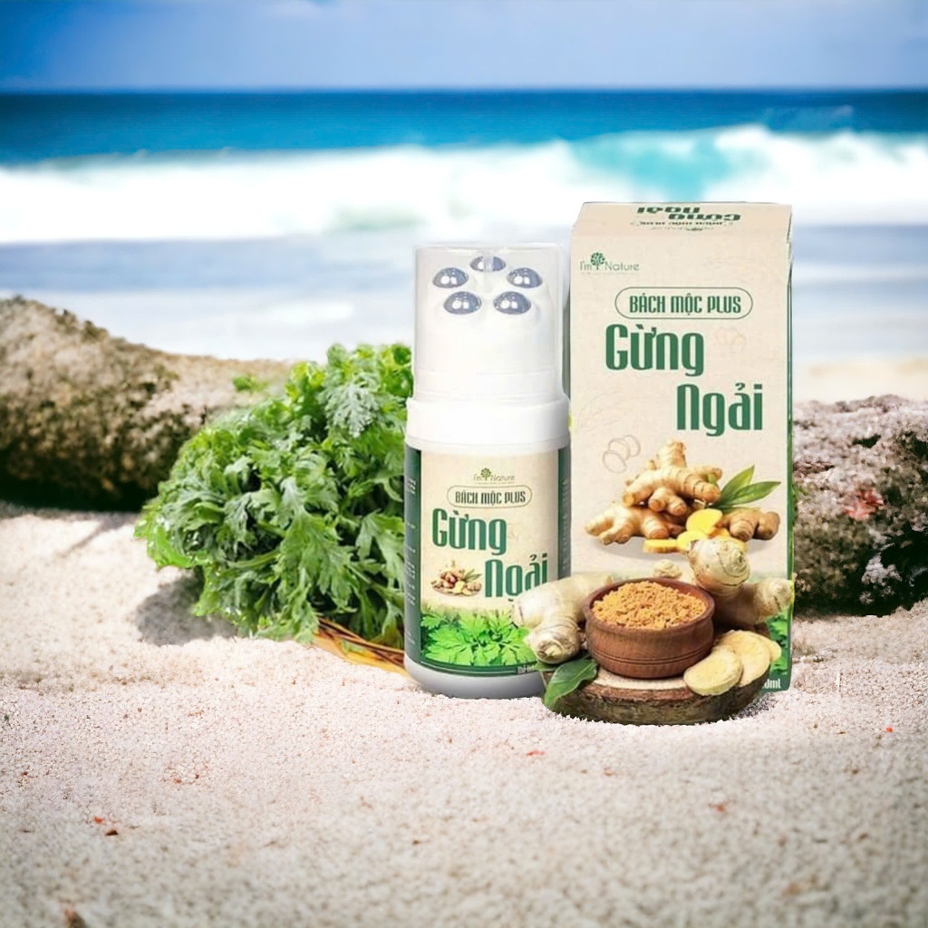 Con Lăn Bách Mộc Plus - Massage Hỗ Trợ Giảm Đau Mỏi Cổ Vai Gáy, Lưu Thông Khí Huyết - I'm Nature 3in