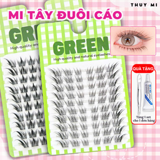 Mi Giả Tây Đuôi Cáo Tô Đát Kỷ Tách Cụm Và Mi Gân Trong Tự Nhiên Tái Sử Dụng Nhiều Lần