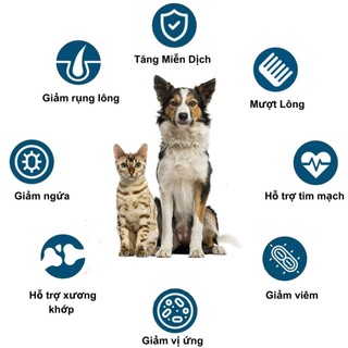 𝐆𝐋𝐎𝐒𝐒𝐘 𝐂𝐎𝐀𝐓 Bổ Da Lông (Omega 3,6 và Biotin) Giảm rụng lông - viêm da
