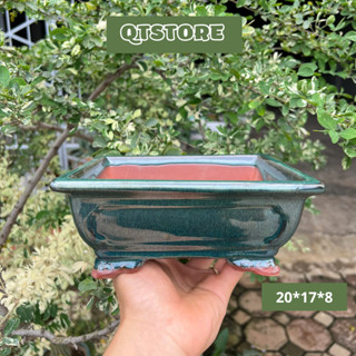 Chậu Chữ Nhật Trồng Cây Bonsai, Cây Văn Phòng, cây sen đá Gốm Sứ Bát Tràng