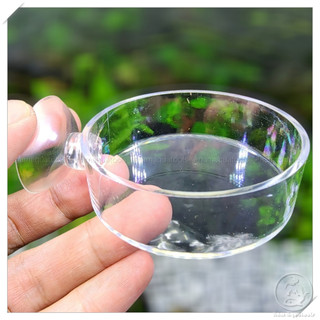 Chén Tép Acrylic - Chén Đựng Thức Ăn Cá Tép Cảnh