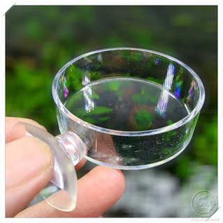Chén Tép Acrylic - Chén Đựng Thức Ăn Cá Tép Cảnh
