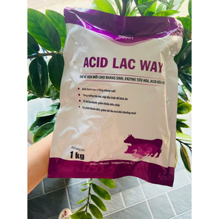 Acid lac way ( men sống chịu kháng sinh) 1kg