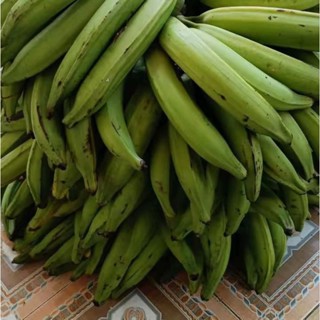 Chuối Tá Quạ Khổng Lồ 1Kg, Hấp Hoặc Luộc Rất Ngon