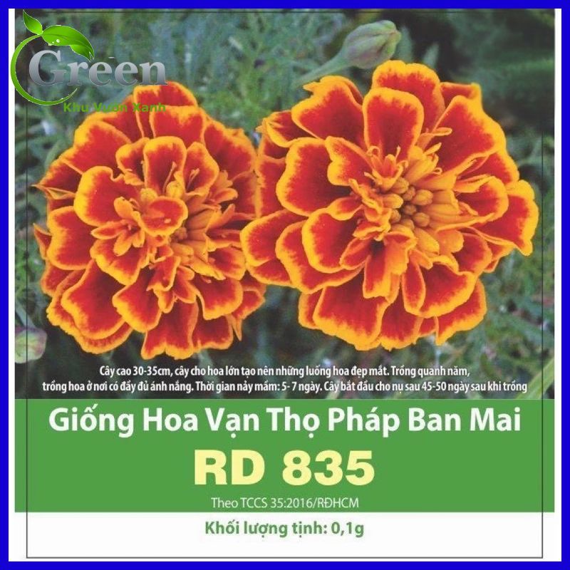 Hạt Giống Hoa Cúc Vạn Thọ Pháp Ban Mai (Gói 0.1 gam ~ 80 hạt) Cho Hoa Lớn, Dễ Trồng