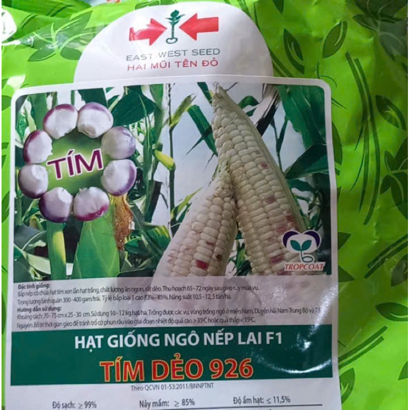 Hạt Giống Bắp Nếp Tím 2 Mũi tên đỏ