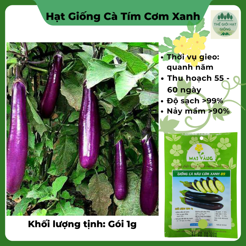 [Gói 1g] Hạt giống Cà tím cơm xanh (cà tím dài)