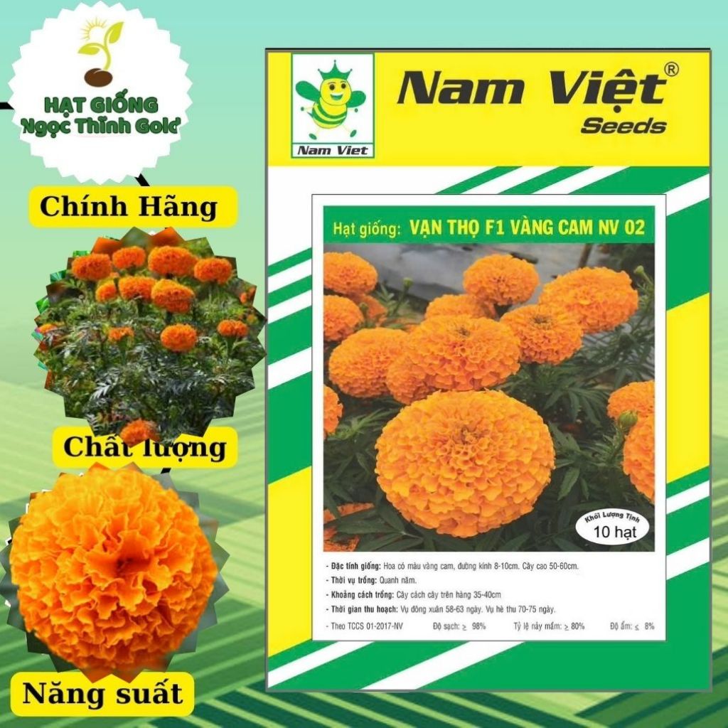 Hạt giống hoa vạn thọ vàng cam nv 02 ( 10 hạt )