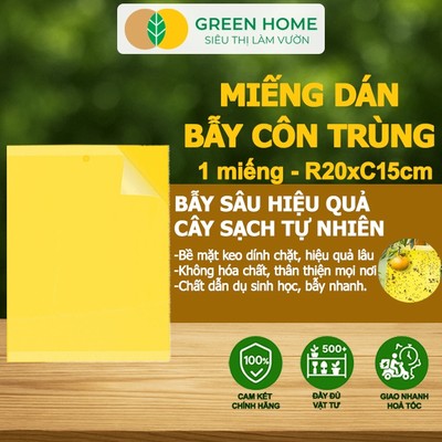 10 Miếng Dán Bẫy Côn Trùng GreenHome, R20xC15cm, 2 Mặt, Hiệu Quả, Tiết Kiệm Chi Phí, Dễ Sử Dụng
