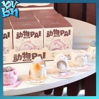  Hộp mù ngẫu nhiên Mô Hình Đá Năng Lượng Cat Crystal Blindbox Pal VER 2 