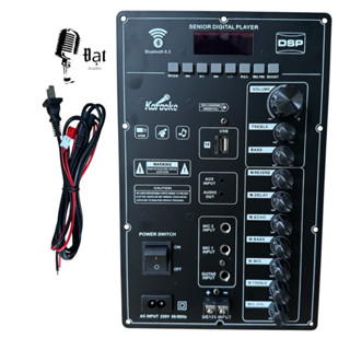 Mạch Loa Kéo 18x28cm Echo Delay 120w