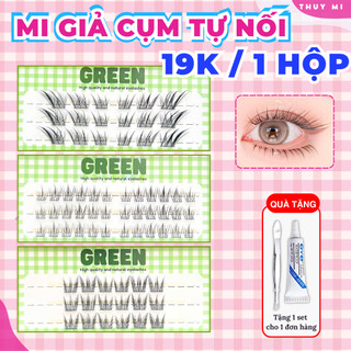  Mi Giả Cụm Tách Sợi Tự Nối Tự Nhiên 3 Hàng GREEN Thuỷ Mi  Tặng 1 keo nhíp cho 1 đơn hàng  