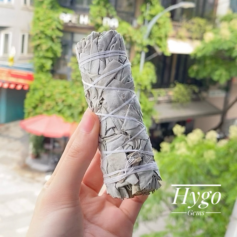 Xô thơm trắng - White Sage thanh tẩy năng lượng, thư giãn, tẩy uế không gian nhà cửa