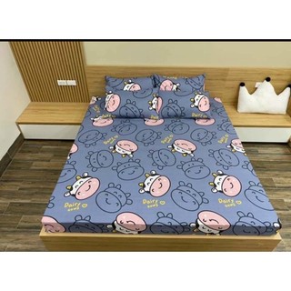 GA CHỐNG THẤM cotton poly 1M6X2M  nhiều mẫu GIAO NGẪU NHIÊN