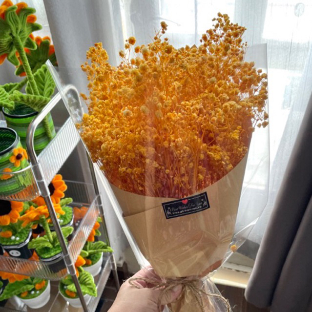 Hoa Baby khô _hàng loại A