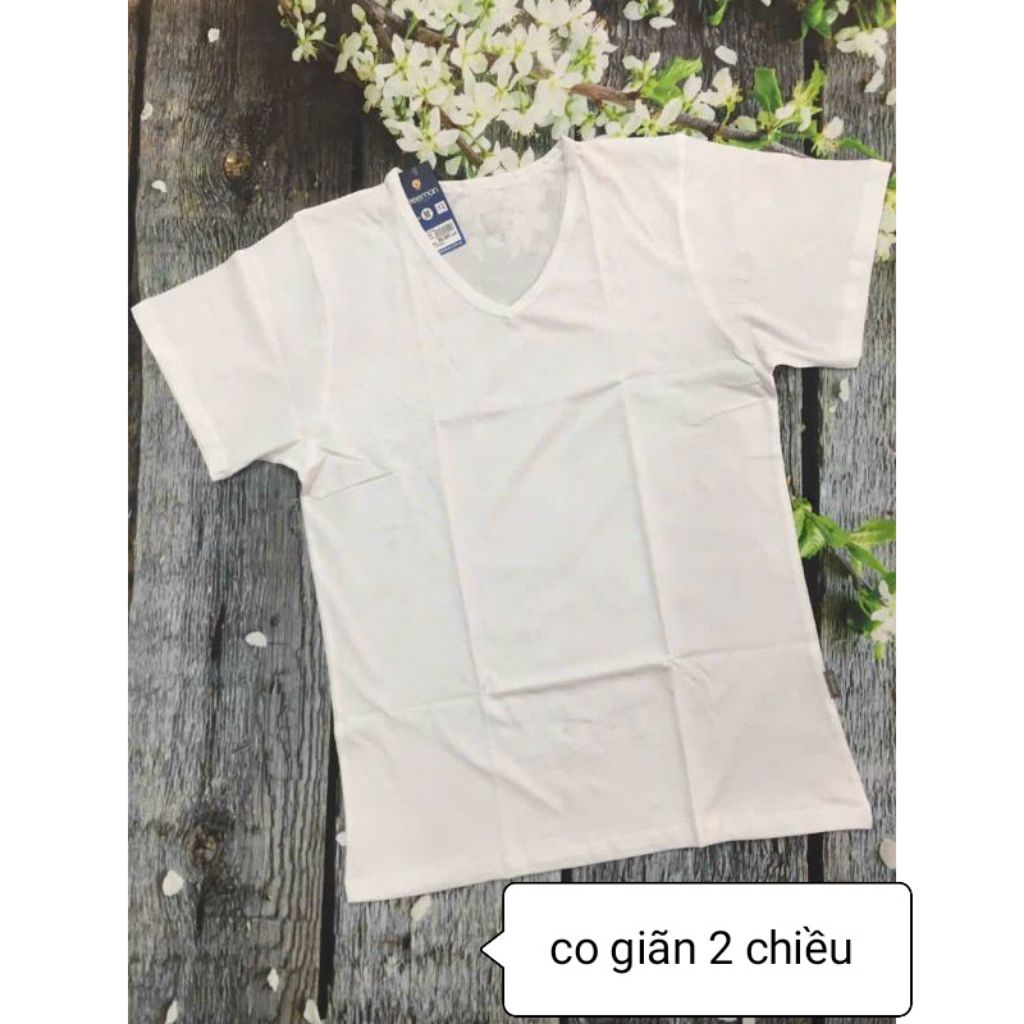 Freeman TSF315 Áo thun mặc nhà cao cấp, áo thun tay ngắn cổ tim mặc lót, mặc ngủ, dạo phố, thể thao 