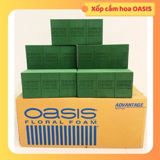   FREESHIP  Sỉ Thùng 20 viên Xốp cắm hoa OASIS chuyên dụng cắm hoa tươi giá siêu rẻ - MADE IN CHINA 
