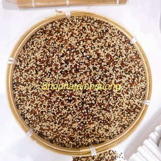 500Gr Hạt diêm mạch 3 màu hữu cơ (Quinoa) Nguyên Chất