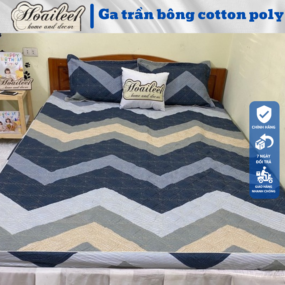 Ga trải giường [FREE SHIP] ga trần bông ga bo chun nhiều kích thước m6 m8 2m2