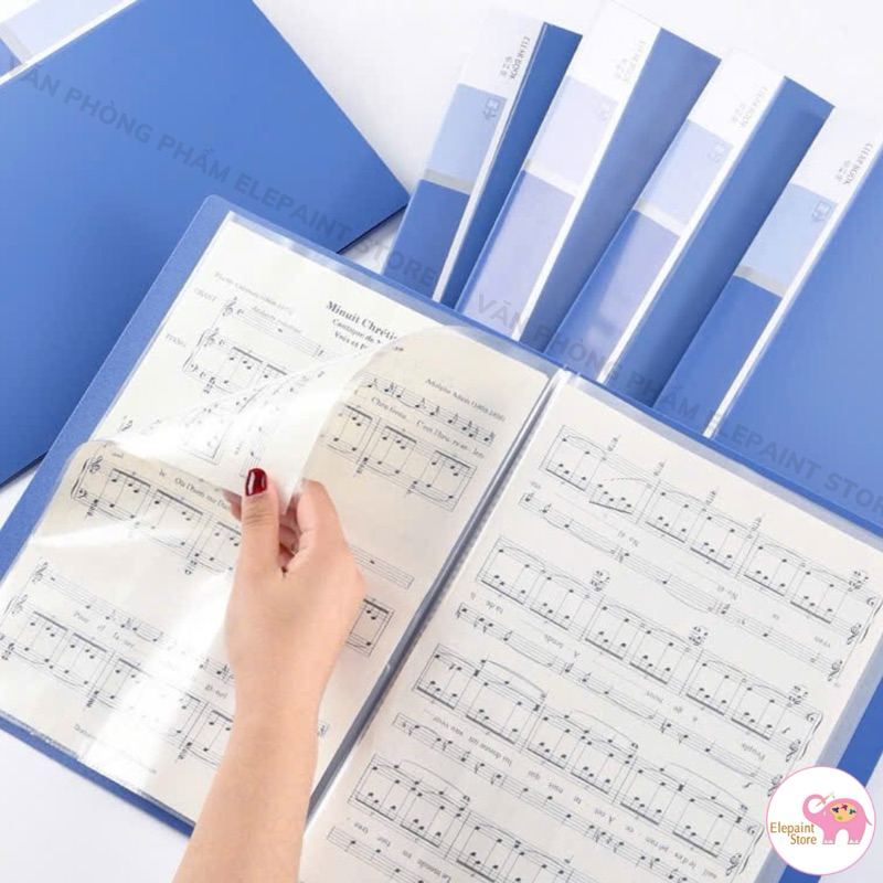 File lá đựng hồ sơ A4 Deli