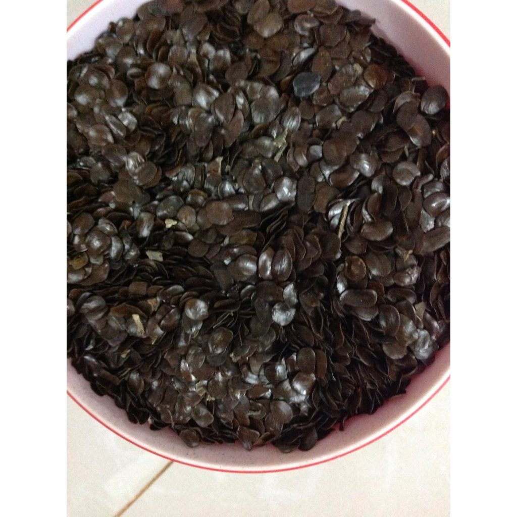 1 KG HẠT GIỐNG CÂY MUỒNG ĐEN. [ HẠT ĐẸP TUYỂN CHỌN BAO NẢY MẦM ] (Freeship Xtra, Voucher Xtra +)