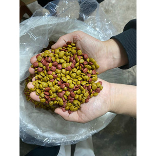 Hạt thức ăn cho chó và mèo